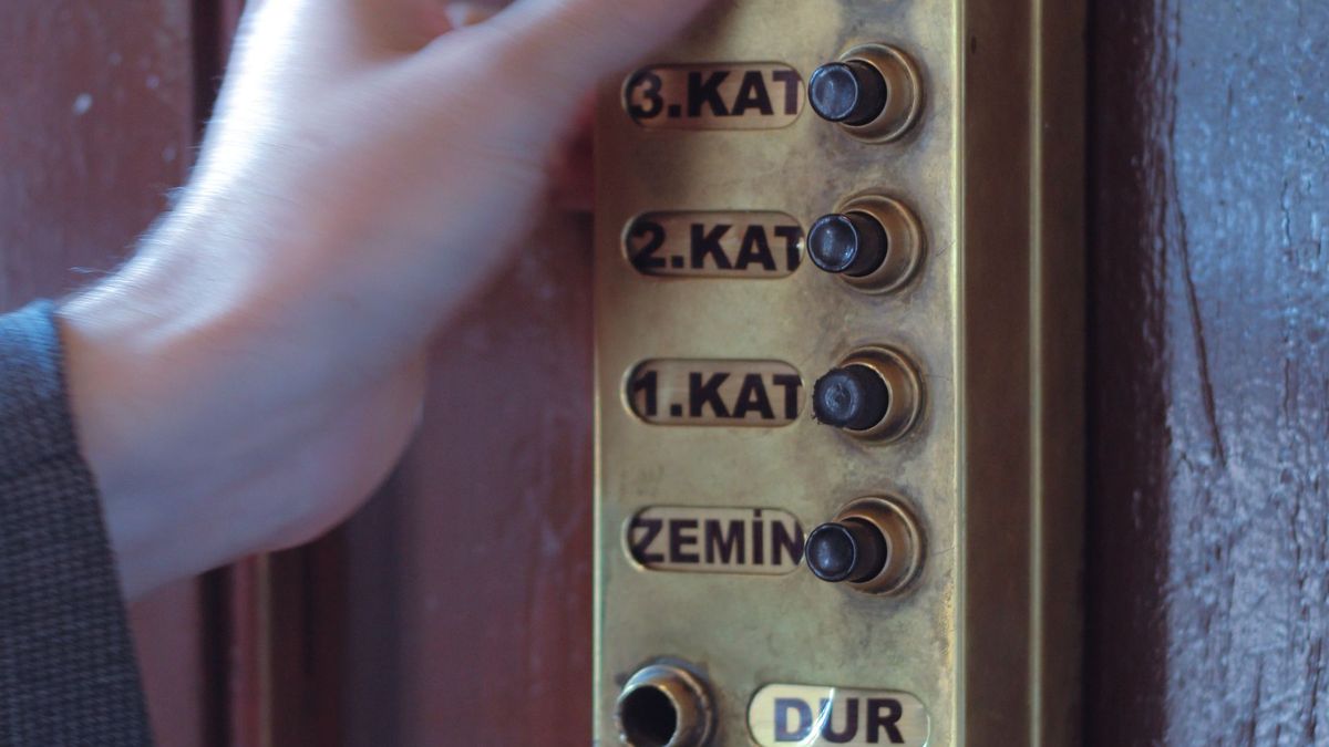 Yeşil, sarı ve kırmızı etiket ne anlama geliyor?